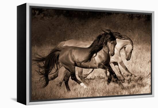 The Dance-Lisa Dearing-Framed Premier Image Canvas