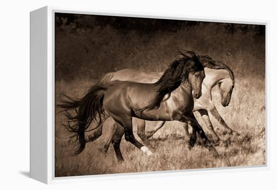 The Dance-Lisa Dearing-Framed Premier Image Canvas