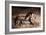 The Dance-Lisa Dearing-Framed Photographic Print