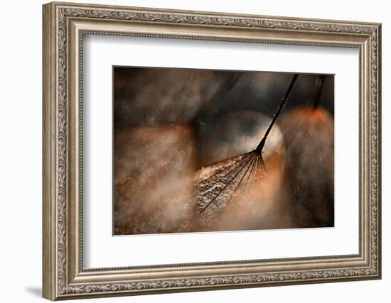 The Dance-Ursula Abresch-Framed Photographic Print