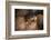 The Dance-Ursula Abresch-Framed Photographic Print