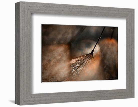 The Dance-Ursula Abresch-Framed Photographic Print