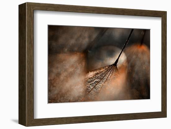 The Dance-Ursula Abresch-Framed Photographic Print