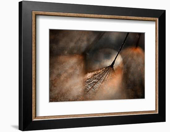 The Dance-Ursula Abresch-Framed Photographic Print