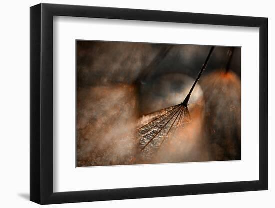 The Dance-Ursula Abresch-Framed Photographic Print