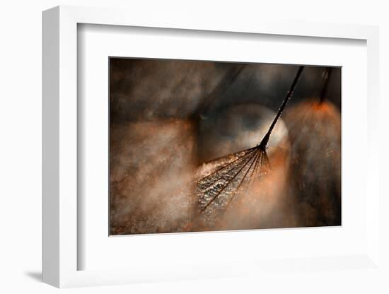 The Dance-Ursula Abresch-Framed Photographic Print