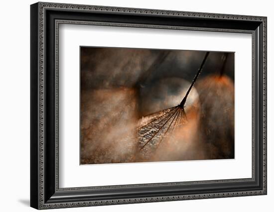 The Dance-Ursula Abresch-Framed Photographic Print