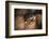 The Dance-Ursula Abresch-Framed Photographic Print