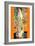 The Dancer-Gustav Klimt-Framed Art Print