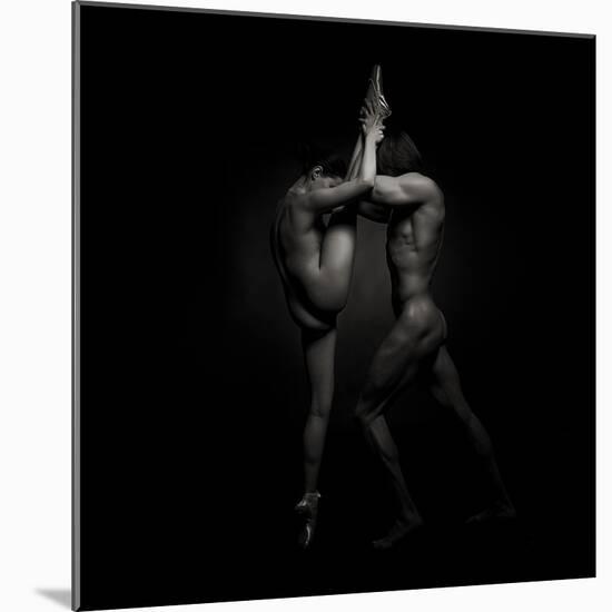 The Dancers - 1348-Marc Meyer-Mounted Premium Photographic Print