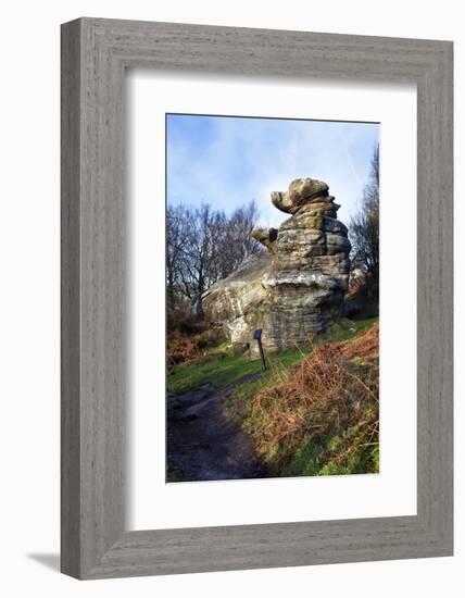 The Dancing Bear at Brimham Rocks Near Summerbridge in Nidderdale, North Yorkshire, England, UK-Mark Sunderland-Framed Photographic Print