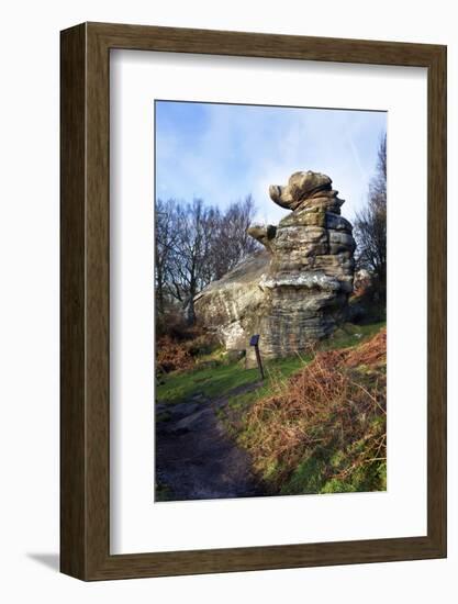 The Dancing Bear at Brimham Rocks Near Summerbridge in Nidderdale, North Yorkshire, England, UK-Mark Sunderland-Framed Photographic Print