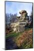 The Dancing Bear at Brimham Rocks Near Summerbridge in Nidderdale, North Yorkshire, England, UK-Mark Sunderland-Mounted Photographic Print