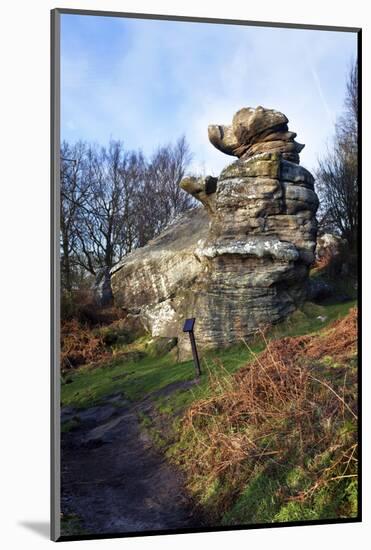 The Dancing Bear at Brimham Rocks Near Summerbridge in Nidderdale, North Yorkshire, England, UK-Mark Sunderland-Mounted Photographic Print