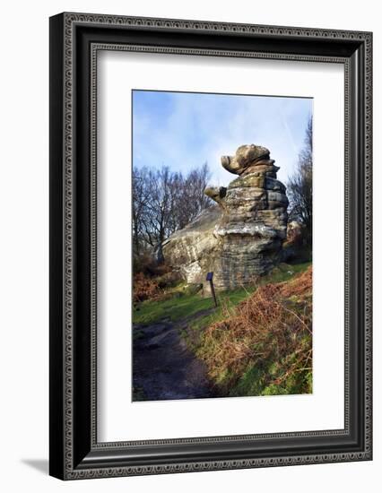 The Dancing Bear at Brimham Rocks Near Summerbridge in Nidderdale, North Yorkshire, England, UK-Mark Sunderland-Framed Photographic Print