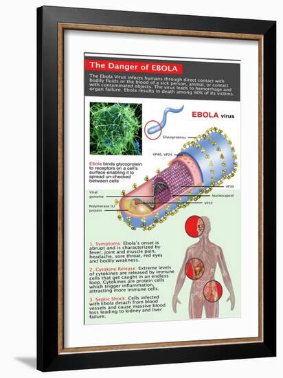 The Danger of Ebola, Illustration-Gwen Shockey-Framed Giclee Print