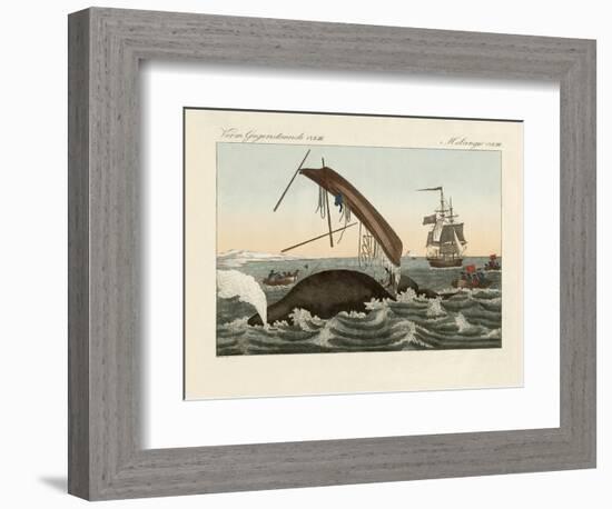 The Dangers of Whale Fishing-null-Framed Giclee Print