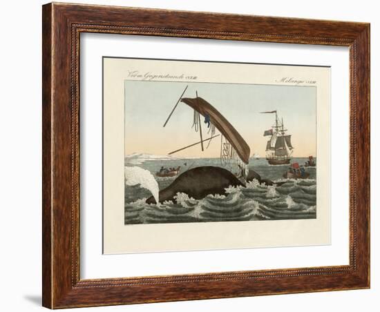 The Dangers of Whale Fishing-null-Framed Giclee Print