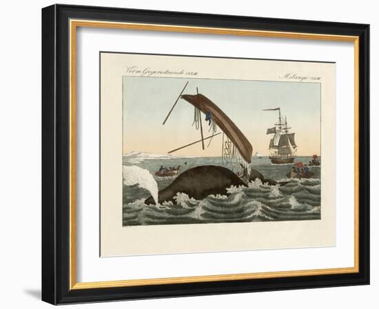 The Dangers of Whale Fishing-null-Framed Giclee Print