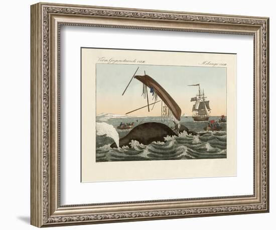 The Dangers of Whale Fishing-null-Framed Premium Giclee Print