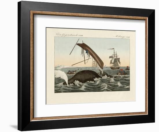 The Dangers of Whale Fishing-null-Framed Premium Giclee Print