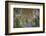 The Dark Hedges in Northern Ireland, Beech Tree Avenue, Northern Ireland, United Kingdom-Michael Runkel-Framed Photographic Print