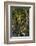 The Dark Hedges, Northern Ireland-Jacek Kadaj-Framed Photographic Print