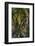 The Dark Hedges, Northern Ireland-Jacek Kadaj-Framed Photographic Print