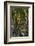 The Dark Hedges, Northern Ireland-Jacek Kadaj-Framed Photographic Print