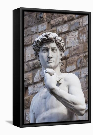 The David, by Michelangelo, Palazzo Vecchio-Nico Tondini-Framed Premier Image Canvas