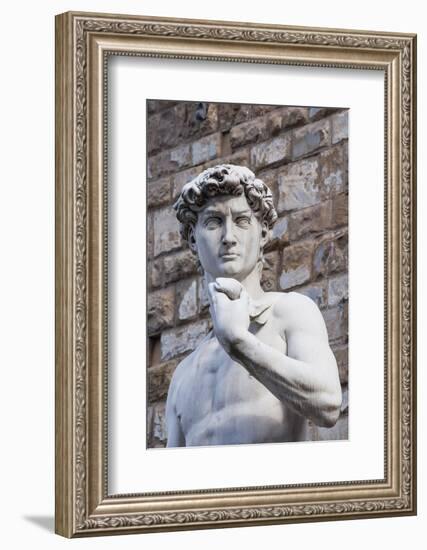The David, by Michelangelo, Palazzo Vecchio-Nico Tondini-Framed Photographic Print