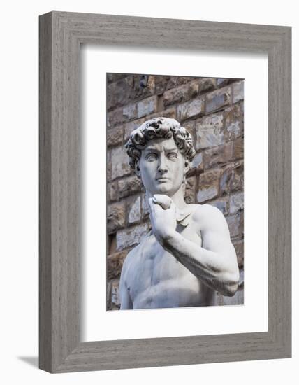 The David, by Michelangelo, Palazzo Vecchio-Nico Tondini-Framed Photographic Print