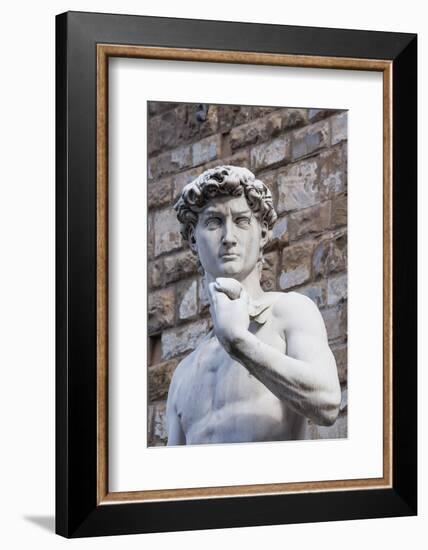 The David, by Michelangelo, Palazzo Vecchio-Nico Tondini-Framed Photographic Print