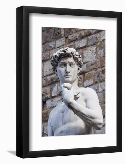 The David, by Michelangelo, Palazzo Vecchio-Nico Tondini-Framed Photographic Print