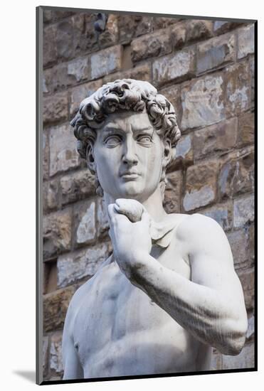 The David, by Michelangelo, Palazzo Vecchio-Nico Tondini-Mounted Photographic Print