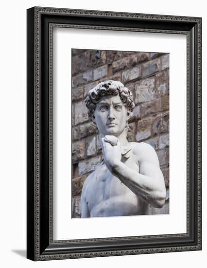 The David, by Michelangelo, Palazzo Vecchio-Nico Tondini-Framed Photographic Print