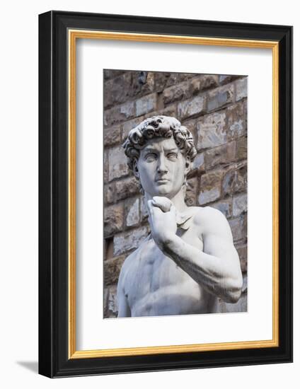 The David, by Michelangelo, Palazzo Vecchio-Nico Tondini-Framed Photographic Print