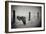 the day of the Raven-holger droste-Framed Photographic Print