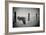 the day of the Raven-holger droste-Framed Photographic Print