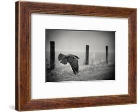 the day of the Raven-holger droste-Framed Photographic Print