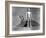 The Day The Earth Stood Still, Michael Rennie, 1951-null-Framed Photo