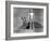 The Day The Earth Stood Still, Michael Rennie, 1951-null-Framed Photo