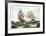 The Days of Adventure-Montague Dawson-Framed Art Print