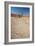 The Dead Acacia Trees of Deadvlei at Sunrise-Alex Saberi-Framed Photographic Print