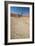 The Dead Acacia Trees of Deadvlei at Sunrise-Alex Saberi-Framed Photographic Print