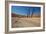 The Dead Acacia Trees of Deadvlei at Sunrise-Alex Saberi-Framed Photographic Print