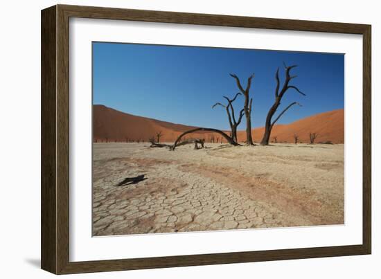 The Dead Acacia Trees of Deadvlei at Sunrise-Alex Saberi-Framed Photographic Print