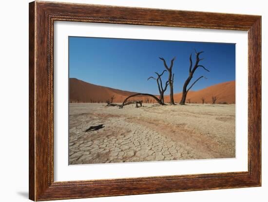 The Dead Acacia Trees of Deadvlei at Sunrise-Alex Saberi-Framed Photographic Print