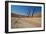 The Dead Acacia Trees of Deadvlei at Sunrise-Alex Saberi-Framed Photographic Print