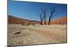 The Dead Acacia Trees of Deadvlei at Sunrise-Alex Saberi-Mounted Photographic Print